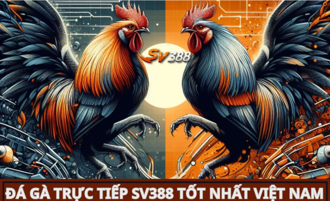 Đá gà SV388